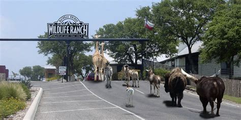 Natural Bridge Wildlife Ranch - SA Keys