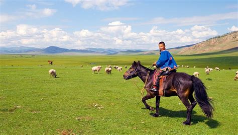 Boy riding a horse in Mongolia | Free Photo - rawpixel