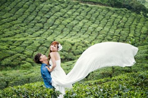 Bangalore,Mysore & Ooty Honeymoon Package , Bangalore,Mysore & Ooty Honeymoon Tour Package ...