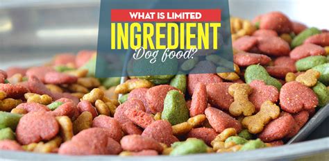 What Limited Ingredient Dog Food Really Is (and when you may need it)