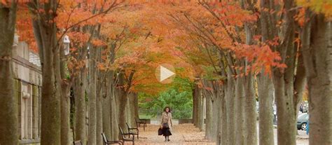 Video feature: Fall color transforms the Princeton campus