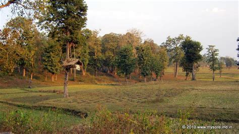 Nagarhole National Park-12 | Inside the Nagarhole Forest. Note that ...