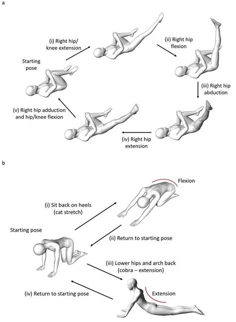 Examples of Clinical Pilates exercises for (a) Stage 2 and (b) Stage 3. | Download Scientific ...