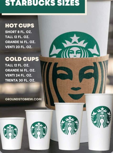 Starbucks Drink Prices, Starbucks Food Menu, Starbucks Cup Sizes, Secret Starbucks Recipes, How ...