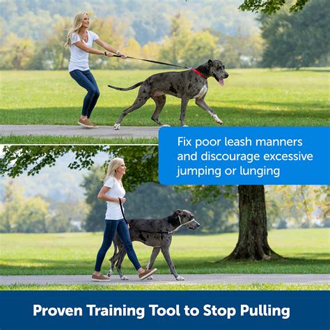 Buy PetSafe Gentle Leader Headcollar, No-Pull Dog Collar – Perfect for Leash & Harness Training ...