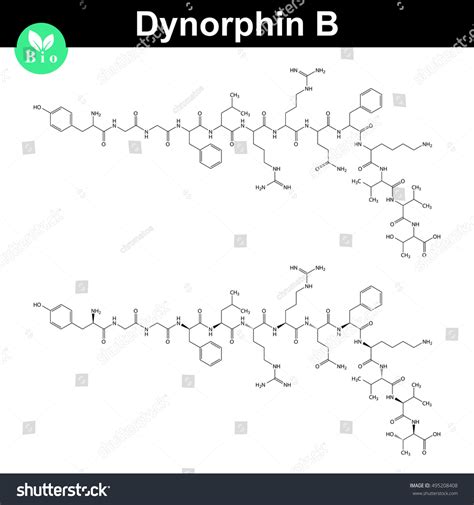 Dynorphin B chemical structure, endogenous - Royalty Free Stock Photo 495208408 - Avopix.com