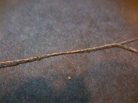 How to Make Spider Silk Thread : 8 Steps (with Pictures) - Instructables