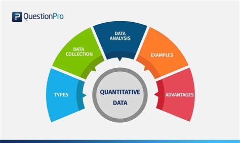 Quantitative Data: What it is, Types & Examples | QuestionPro