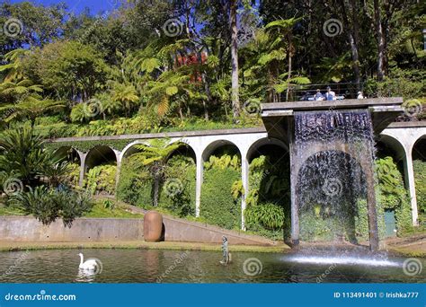 Botanical Garden in Funchal, Madeira Editorial Photo - Image of asian, park: 113491401