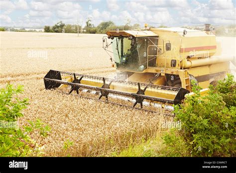 Thresher High Resolution Stock Photography and Images - Alamy