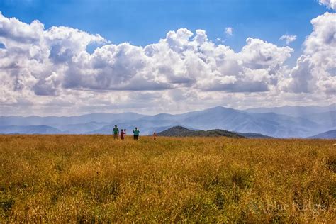 Hiking trails in the Blue Ridge – Our top 10 family favorites