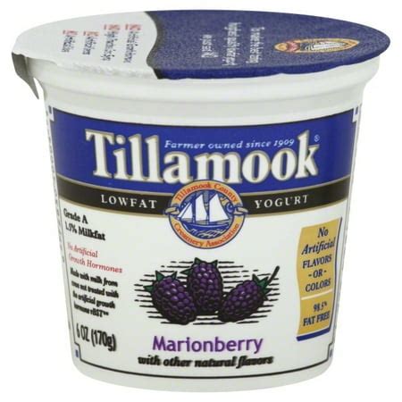 Tillamook Tillamook Yogurt, 6 oz - Walmart.com