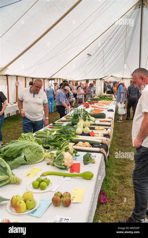 Vegetable competition exhibits at an agricultural show Stock Photo - Alamy