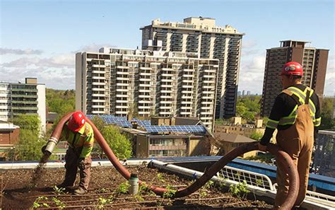 Green Roof Installation | J. Lipani Turf Group