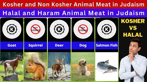 Kosher and Non Kosher Animal Meat in Judaism | Halal and Haram Animal ...