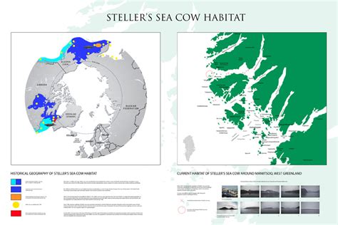 Tales of a Sea Cow – Etienne de France