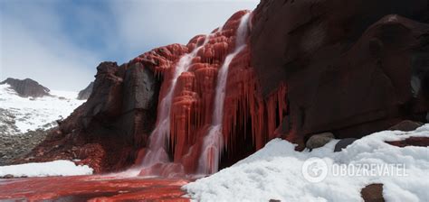 Harbingers of the apocalypse? The secret of Antarctica's Blood Falls is revealed