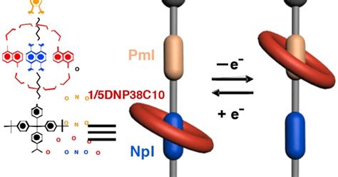 Next Big Future: Molecular Nanotechnologists win Nobel Prize in Chemistry for developing ...