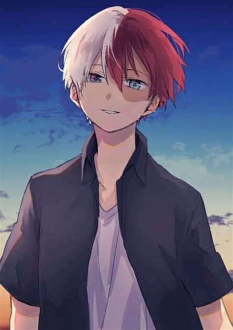 My Hero Academia Shoto Todoroki :: Anime :: MyNiceProfile.com