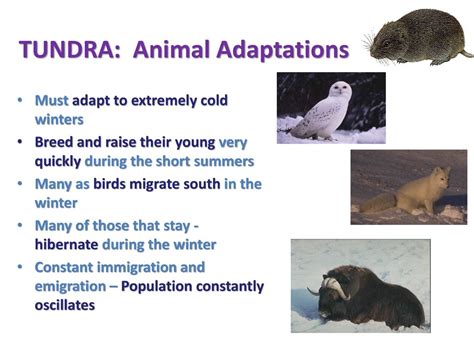 National Bio Rules Committee Chairman - ppt download