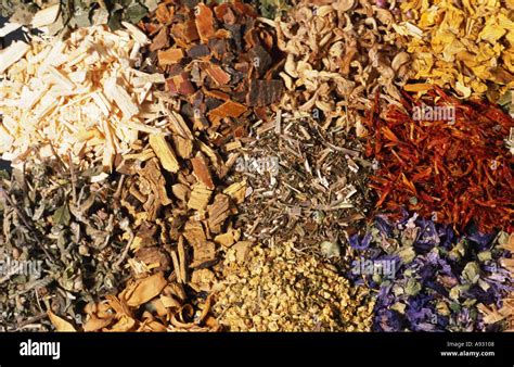 naturopathy mixed dried herbs tea Stock Photo - Alamy