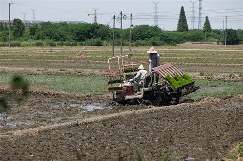 Modern Agriculture Picture And HD Photos | Free Download On Lovepik