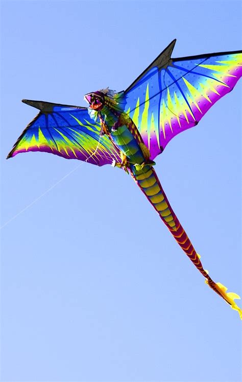 Dragon Kite | Dragon kite, Kite