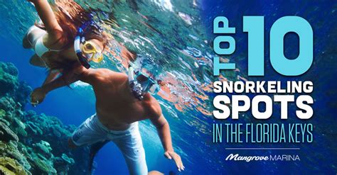 Top 10 Snorkeling Spots in The Florida Keys