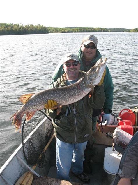 Reindeer Lake, Saskatchewan | Pike fishing, Saskatchewan, Lake