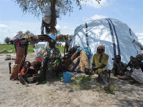 South Sudan: New refugees from Sudan in need of assistance | MSF