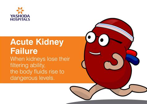 Acute kidney failure: Sypmtoms and Treatment | Fluid in your kidney