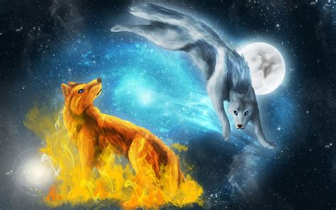 Cute Fox and Wolf, blue fox HD wallpaper | Pxfuel