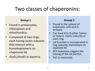 Molecular chaperones | PPT