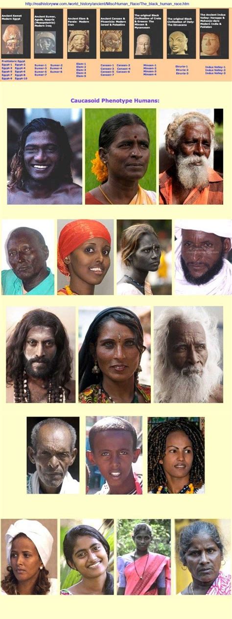 These findings, coupled with the recently discovered presence of haplogroup U in Ethiopia [11 ...