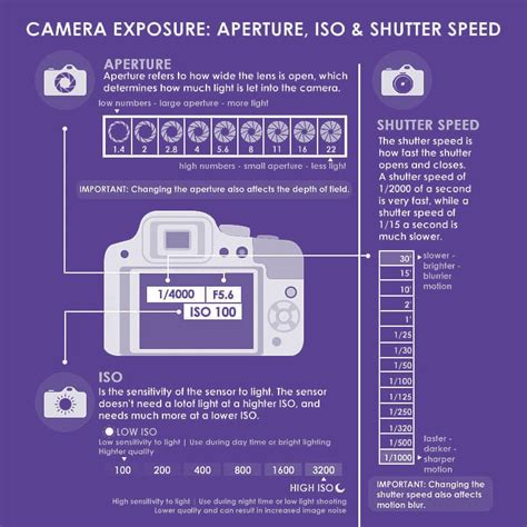 Photography Basics: Aperture, Shutter, and ISO - The Nerdy Photographer