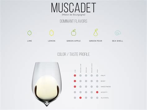 Guide to Tasting and Pairing Muscadet | Wine Folly