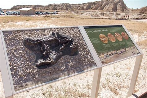 Top 10 Things To Do In Badlands National Park • Travel Worth Telling