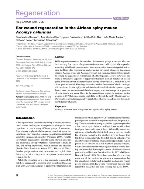 (PDF) Ear wound regeneration in the African Spiny mouse Acomys cahirinus