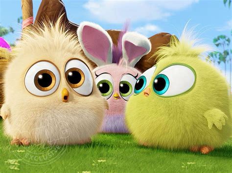 1920x1080px, 1080P Free download | Watch the Hatchlings from The Angry ...