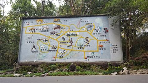 Hangzhou Zoo - 2020 All You Need to Know BEFORE You Go (with Photos ...