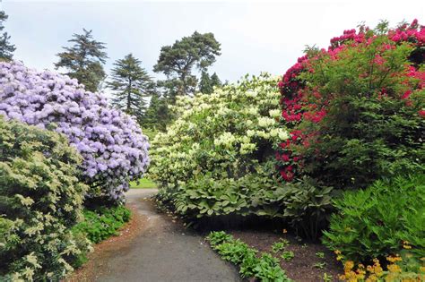 Royal Botanic Garden Edinburgh - Top Ten Garden