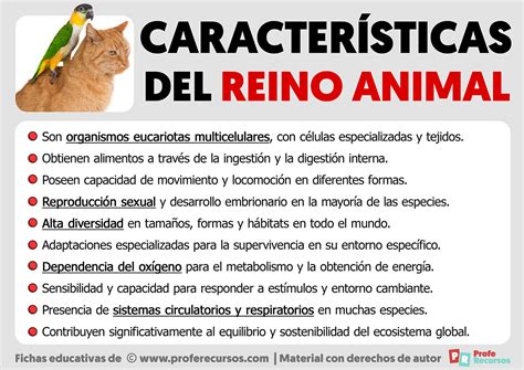 Imagenes Reino Animal