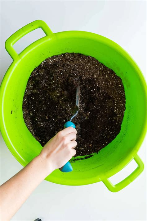 Soil Blocking 101: Grow Healthier Seedlings! | Boreal Bloom Homestead