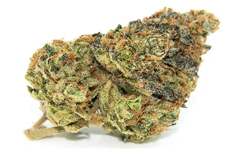 Gelato Strain: aka Larry Bird Review, Uses, Appearance, and Effects - Get To High