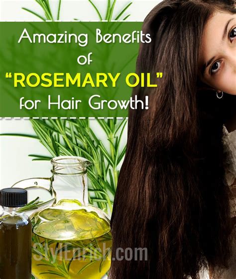 Rosemary Oil for Hair Growth : Esssential Oil To Maintian Hair Hygiene