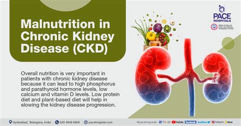 Malnutrition in Chronic Kidney Disease | Protein Energy Wasting