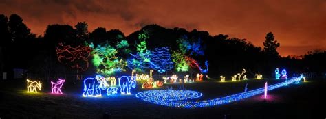 Christmas Lights at the Zoo? | Washington, DC Metropolitan Real Estate |Pearson Smith Realty