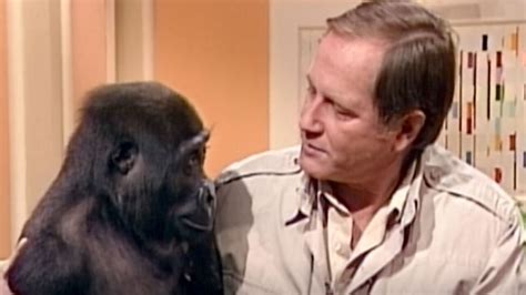 Wildlife expert and 'Mutual of Omaha's Wild Kingdom' host Jim Fowler dies