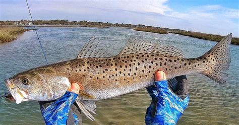 Top 3 Lures For Fishing Coastal Marshes (For Redfish, Trout, & Flounder)