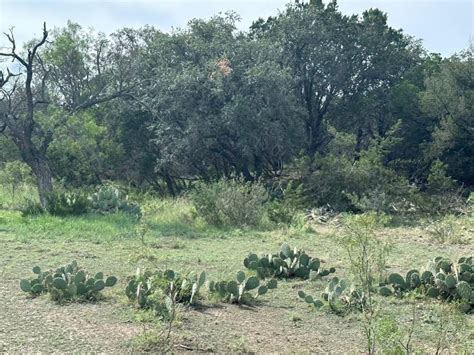 104.94 acres in Ozona, TX, 76943 | LandWatch